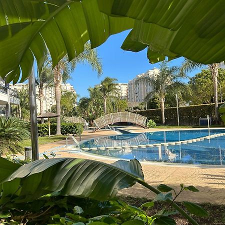 Margo El Eden Residencial Apartment กันดิอา ภายนอก รูปภาพ